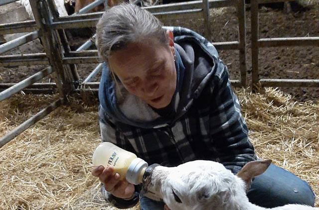 Liebevolle Aufzucht der Kleinsten auf dem Br&uuml;cklehof